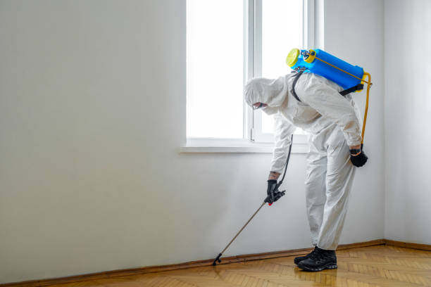 Professional Pest Control in Kent Acres, DE